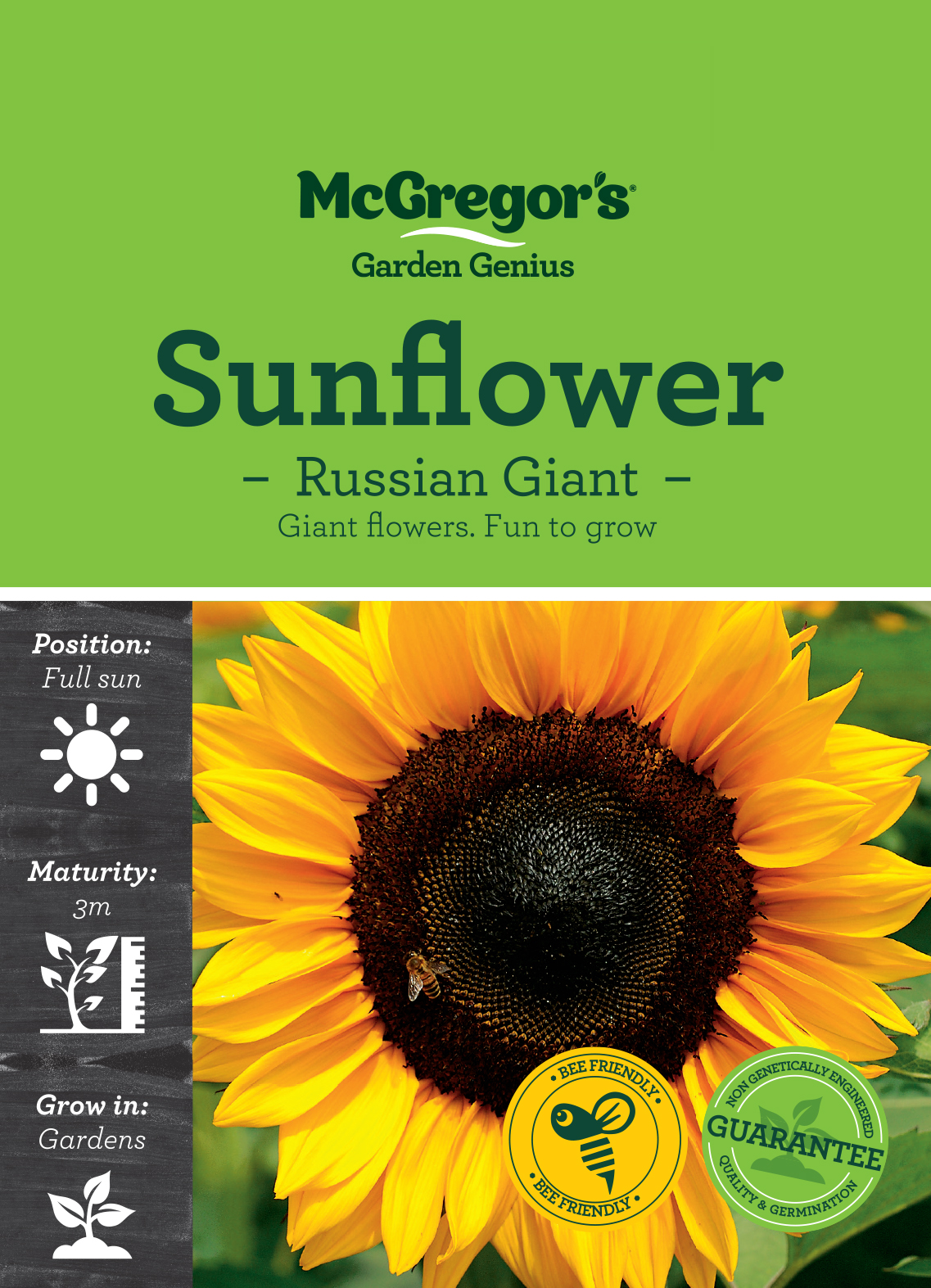 Russian deals giant sunflower