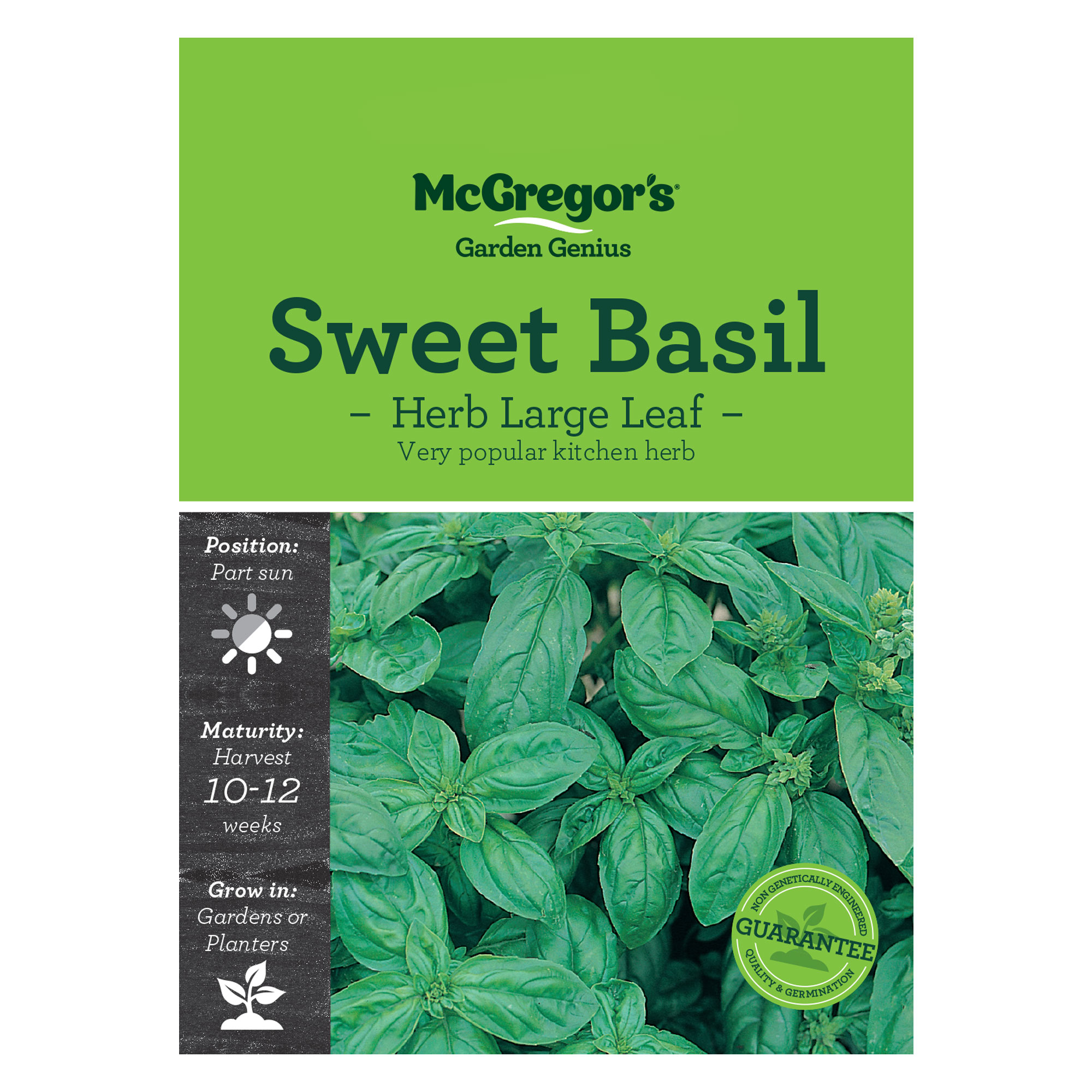 Sweet Basil Herb Large Leaf McGregor s Garden Genius